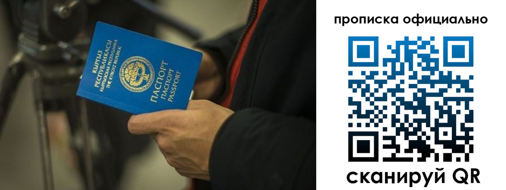 прописка в Ртищево